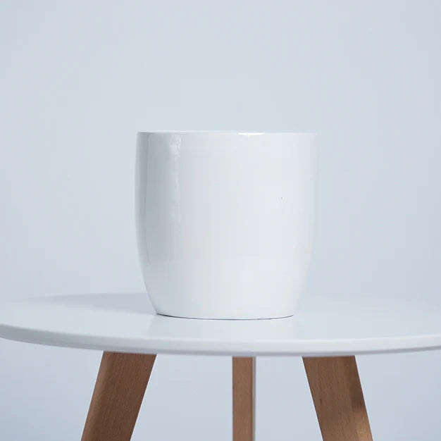 White Ceramic Pot